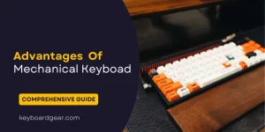 Advantages Of Mechanical Keyboard