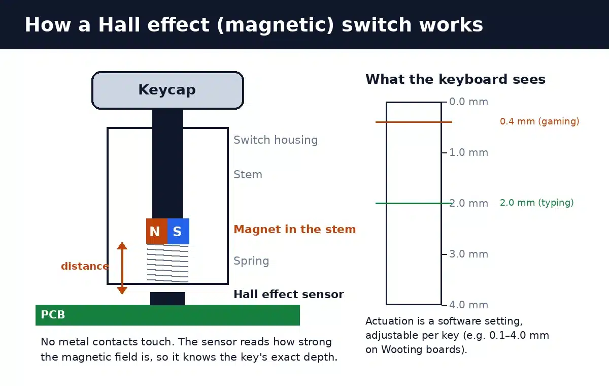 Cross-section diagram of a Hall effect magnetic switch: magnet in the stem, spring, and Hall sensor on the PCB measuring key depth